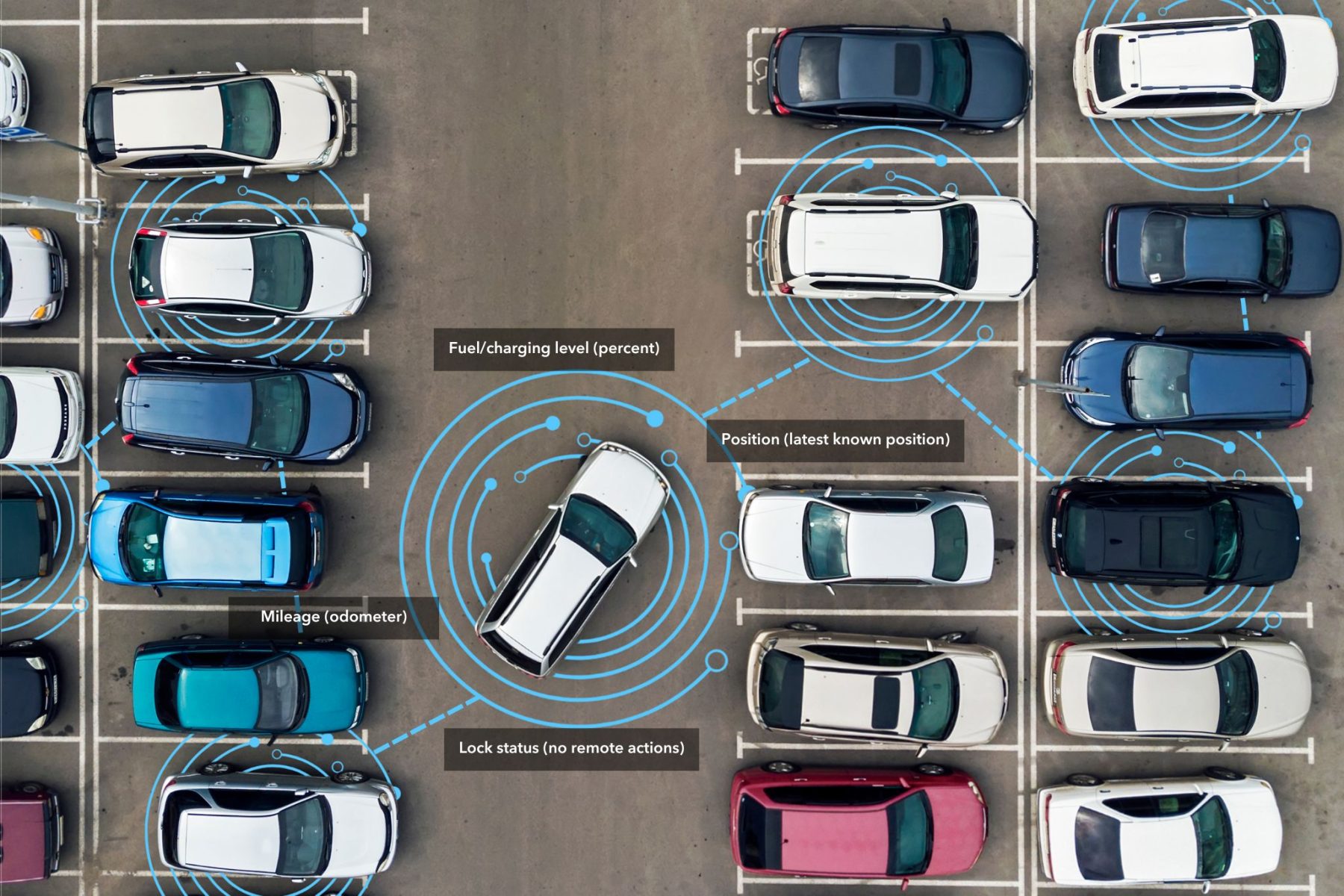 Cars in the parking lot with data points