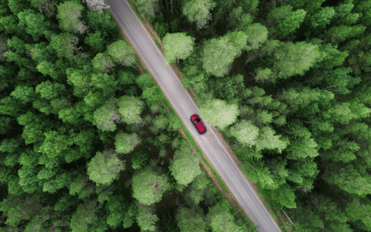 a car driving through a green forest